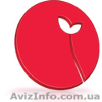 Продается готовый бизнес - бренд 'Power of Flowers' - <ro>Изображение</ro><ru>Изображение</ru> #3, <ru>Объявление</ru> #649702