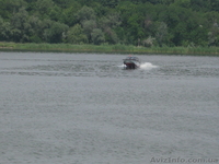 САМЫЙ  КРАСИВЫЙ  КАТЕР - <ro>Изображение</ro><ru>Изображение</ru> #2, <ru>Объявление</ru> #666509