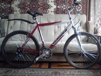 Продам велосипед Winner Viking - <ro>Изображение</ro><ru>Изображение</ru> #1, <ru>Объявление</ru> #654610