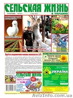 Молоко, кефир, творог, сыр из козьего молока. - <ro>Изображение</ro><ru>Изображение</ru> #3, <ru>Объявление</ru> #676097