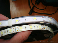 Светодиодная лента эконом 3528 5050 - <ro>Изображение</ro><ru>Изображение</ru> #5, <ru>Объявление</ru> #677833