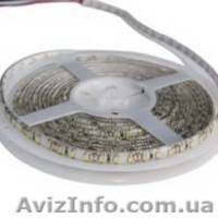 Светодиодная лента эконом 3528 5050 - <ro>Изображение</ro><ru>Изображение</ru> #1, <ru>Объявление</ru> #677833