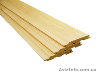 Лиственница сибирская Запорожье Украина - <ro>Изображение</ro><ru>Изображение</ru> #1, <ru>Объявление</ru> #153137