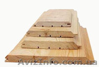 Лиственница сибирская Запорожье Украина - <ro>Изображение</ro><ru>Изображение</ru> #4, <ru>Объявление</ru> #153137