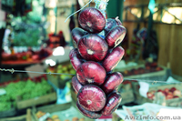 Настоящий Ялтинский(крымский) лук - <ro>Изображение</ro><ru>Изображение</ru> #2, <ru>Объявление</ru> #721118