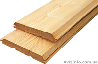 Лиственница сибирская Запорожье Украина - <ro>Изображение</ro><ru>Изображение</ru> #2, <ru>Объявление</ru> #153137