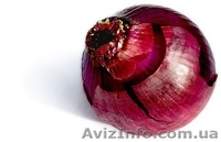 Настоящий Ялтинский(крымский) лук - <ro>Изображение</ro><ru>Изображение</ru> #1, <ru>Объявление</ru> #721118