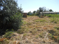 ПРОДАМ УЧАСТОК НА БЕРДЯНСКОЙ КОСЕ - <ro>Изображение</ro><ru>Изображение</ru> #1, <ru>Объявление</ru> #661030