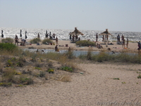 ПРОДАМ УЧАСТОК НА БЕРДЯНСКОЙ КОСЕ - <ro>Изображение</ro><ru>Изображение</ru> #4, <ru>Объявление</ru> #661030