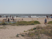 ПРОДАМ УЧАСТОК НА БЕРДЯНСКОЙ КОСЕ - <ro>Изображение</ro><ru>Изображение</ru> #3, <ru>Объявление</ru> #661030