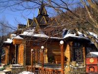 Новый год в Карпатах из  Запорожья - <ro>Изображение</ro><ru>Изображение</ru> #1, <ru>Объявление</ru> #790532