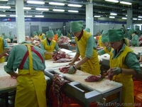 Обвальщик на мясокомбинат. Польша - <ro>Изображение</ro><ru>Изображение</ru> #1, <ru>Объявление</ru> #815212