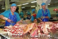 Обвальщик на мясокомбинат. Польша - <ro>Изображение</ro><ru>Изображение</ru> #2, <ru>Объявление</ru> #815212