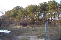 Дачный уч-к 7.2сот. на берегу Днепра в сосновом лесу. - <ro>Изображение</ro><ru>Изображение</ru> #1, <ru>Объявление</ru> #843093