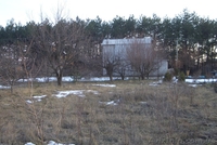 Дачный уч-к 7.2сот. на берегу Днепра в сосновом лесу. - <ro>Изображение</ro><ru>Изображение</ru> #3, <ru>Объявление</ru> #843093