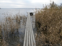 Строим причалы, пирсы и беседки на воде. - <ro>Изображение</ro><ru>Изображение</ru> #7, <ru>Объявление</ru> #835968