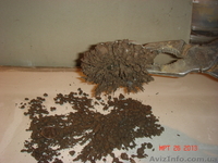 металл сепарация - <ro>Изображение</ro><ru>Изображение</ru> #3, <ru>Объявление</ru> #568597