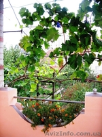 Продам дом в р-не Набережной  - <ro>Изображение</ro><ru>Изображение</ru> #9, <ru>Объявление</ru> #872704