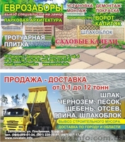 ЧП Пасютин (NOVA LAIN) - <ro>Изображение</ro><ru>Изображение</ru> #1, <ru>Объявление</ru> #893966