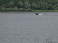 Катер  Волга  на  подводных  крыльях - <ro>Изображение</ro><ru>Изображение</ru> #3, <ru>Объявление</ru> #907445