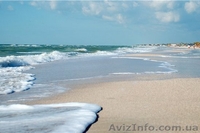 Отдых на море недорого от хозяина 2013г. пгт Кирилловка райский уголок  - <ro>Изображение</ro><ru>Изображение</ru> #9, <ru>Объявление</ru> #928733