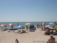 Отдых на море недорого от хозяина 2013г. пгт Кирилловка райский уголок  - <ro>Изображение</ro><ru>Изображение</ru> #5, <ru>Объявление</ru> #928733