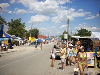 Отдых на море недорого от хозяина 2013г. пгт Кирилловка райский уголок  - <ro>Изображение</ro><ru>Изображение</ru> #6, <ru>Объявление</ru> #928733