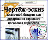 Клетка для перепелов своими руками. Чертёж - <ro>Изображение</ro><ru>Изображение</ru> #1, <ru>Объявление</ru> #968568