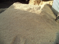 Опилки (сосна,ольха,береза) в любом объеме - <ro>Изображение</ro><ru>Изображение</ru> #2, <ru>Объявление</ru> #1067539