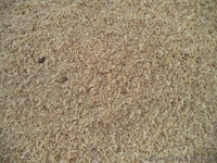 Опилки (сосна,ольха,береза) в любом объеме - <ro>Изображение</ro><ru>Изображение</ru> #3, <ru>Объявление</ru> #1067539