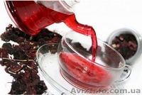 Гибискус, каркаде, суданская роза, чай Гибискус - <ro>Изображение</ro><ru>Изображение</ru> #2, <ru>Объявление</ru> #1162409