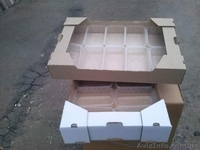 Ящик для клубники (гофро-лоток) - <ro>Изображение</ro><ru>Изображение</ru> #3, <ru>Объявление</ru> #1223055