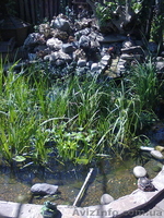 Строительство под ключ Быстро Качественно Строим - <ro>Изображение</ro><ru>Изображение</ru> #3, <ru>Объявление</ru> #1265447