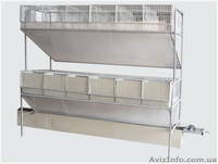 Клетки для кроликов (доставка по всей Украине) - <ro>Изображение</ro><ru>Изображение</ru> #2, <ru>Объявление</ru> #1323390