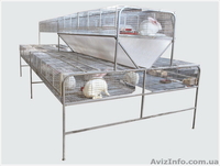 Клетки для кроликов (доставка по всей Украине) - <ro>Изображение</ro><ru>Изображение</ru> #3, <ru>Объявление</ru> #1323390