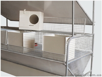 Клетки для кроликов (доставка по всей Украине) - <ro>Изображение</ro><ru>Изображение</ru> #4, <ru>Объявление</ru> #1323390