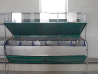 Клетки для кроликов (доставка по всей Украине) - <ro>Изображение</ro><ru>Изображение</ru> #5, <ru>Объявление</ru> #1323390