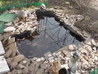 Продам дачу в  Хортицком р-не  с летним домом .Алюминщик-1 - <ro>Изображение</ro><ru>Изображение</ru> #4, <ru>Объявление</ru> #1353183