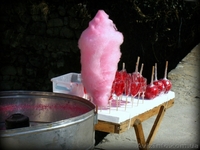 Аппарат для сладкой ваты - <ro>Изображение</ro><ru>Изображение</ru> #1, <ru>Объявление</ru> #1429741