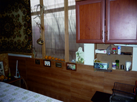 Продам дачу в  Хортицком р-не  с летним домом .Алюминщик-1 - <ro>Изображение</ro><ru>Изображение</ru> #1, <ru>Объявление</ru> #1353183