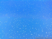 Пленка ПВХ для натяжных потолков, комплектующие - <ro>Изображение</ro><ru>Изображение</ru> #2, <ru>Объявление</ru> #1430544