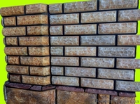 Фасадные панели утеплитель дома - <ro>Изображение</ro><ru>Изображение</ru> #3, <ru>Объявление</ru> #1432278