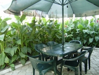 Отдых в Бердянске 2017 - <ro>Изображение</ro><ru>Изображение</ru> #8, <ru>Объявление</ru> #675740