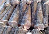 Хек замороженный - <ro>Изображение</ro><ru>Изображение</ru> #2, <ru>Объявление</ru> #1477091