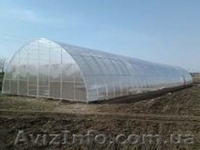 Теплицы.Теплицы.Теплицы. - <ro>Изображение</ro><ru>Изображение</ru> #4, <ru>Объявление</ru> #1510831