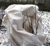 Иглопробивной геотекстиль 200 г/м.кв, отмостки укрытие роз винограда  - <ro>Изображение</ro><ru>Изображение</ru> #2, <ru>Объявление</ru> #1509944