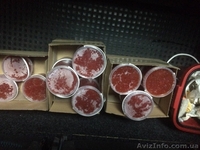  Красная икра от 550грн/кг формируем дилерскую сеть - <ro>Изображение</ro><ru>Изображение</ru> #4, <ru>Объявление</ru> #1521496