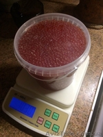  Красная икра от 550грн/кг формируем дилерскую сеть - <ro>Изображение</ro><ru>Изображение</ru> #1, <ru>Объявление</ru> #1521496