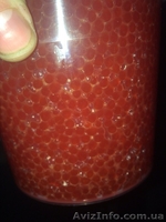  Красная икра от 550грн/кг формируем дилерскую сеть - <ro>Изображение</ro><ru>Изображение</ru> #5, <ru>Объявление</ru> #1521496