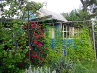 Дачный участок, черта города, Коммунаровский район. - <ro>Изображение</ro><ru>Изображение</ru> #1, <ru>Объявление</ru> #1542802